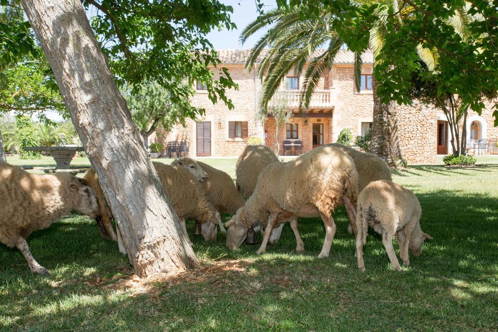 Agroturismo Es Quatre Cantons Binissalem Buitenkant foto