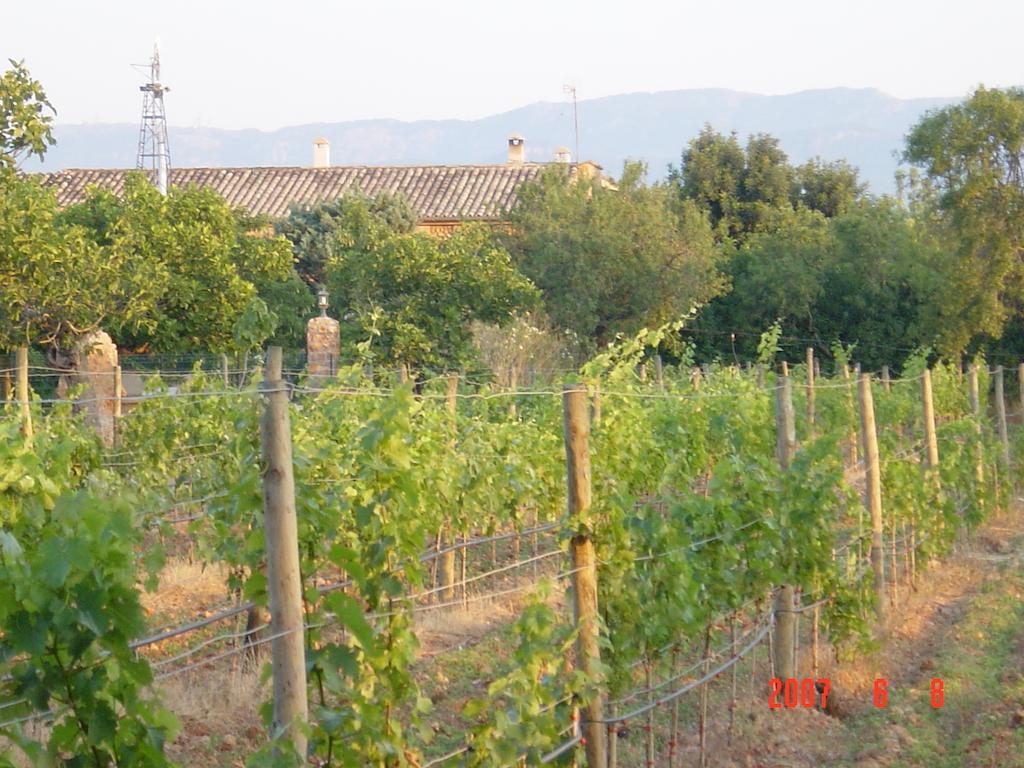 Agroturismo Es Quatre Cantons Binissalem Buitenkant foto
